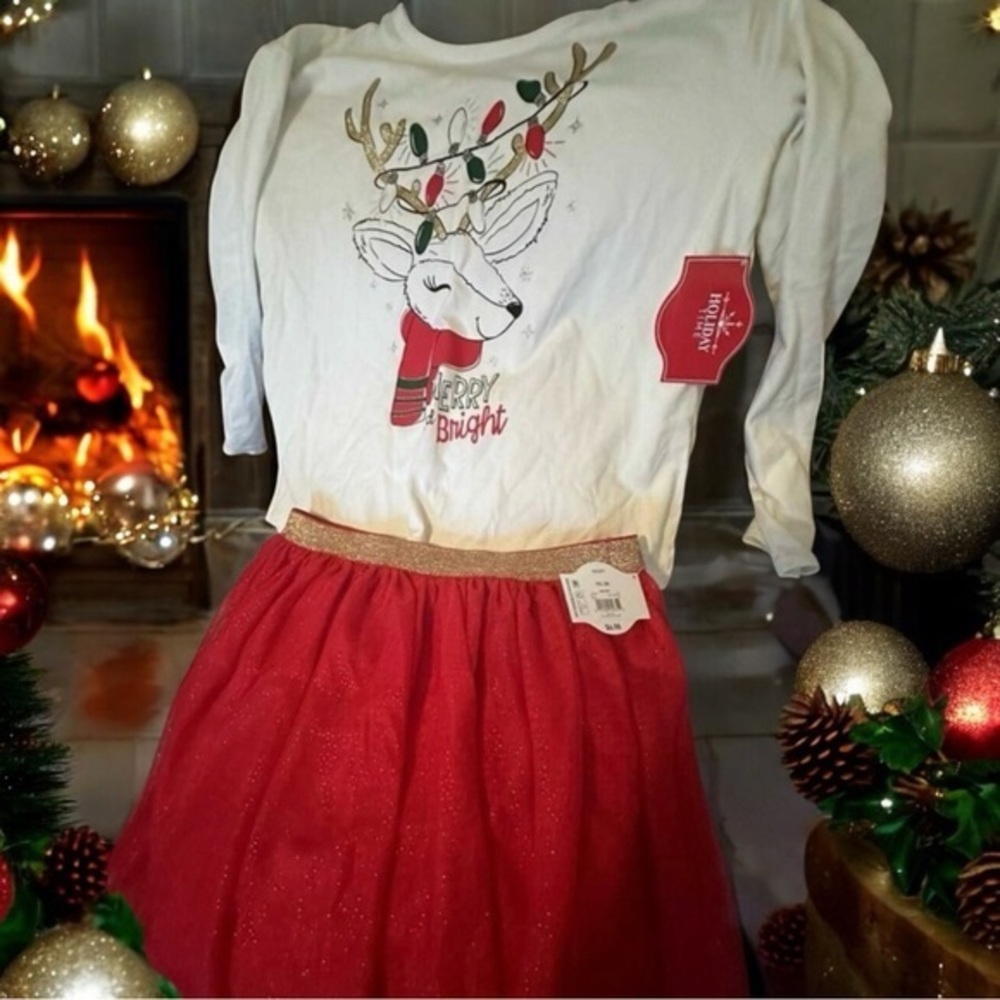 Girls Christmas Outfit, NWT, Top & Skirt Size XXL 18 by Holiday Time